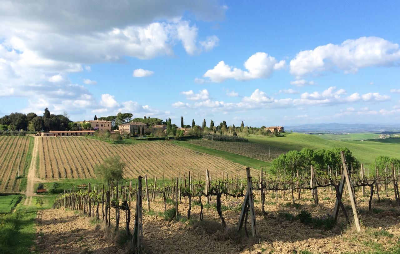Tenuta Di Corsano Monteroni dʼArbia Buitenkant foto