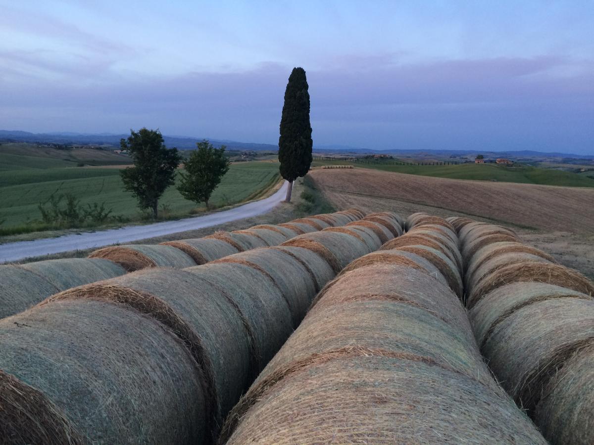 Tenuta Di Corsano Monteroni dʼArbia Buitenkant foto